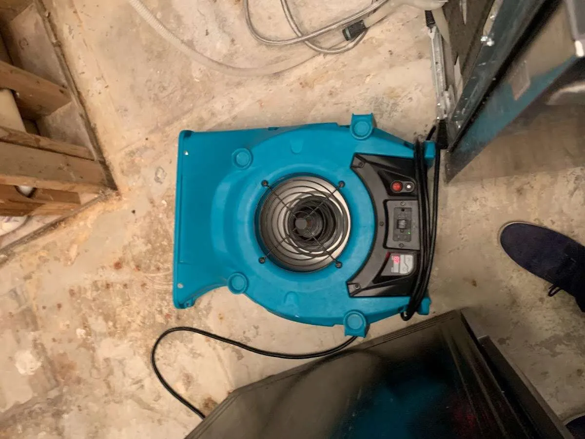 Air mover drying equipment for Mold Remediation & Removal in Maryland City