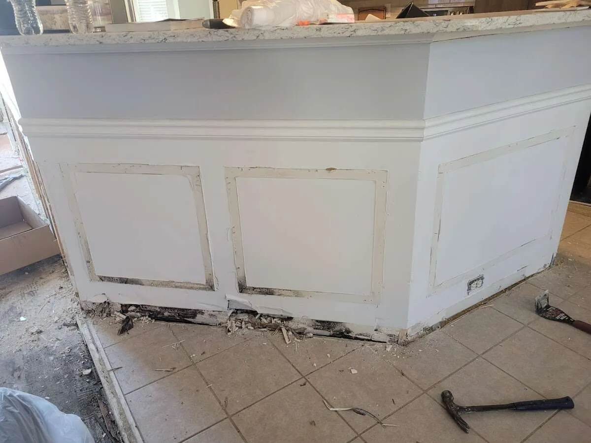 Water damage and mold on kitchen during Mold Inspection & Testing in Maryland City
